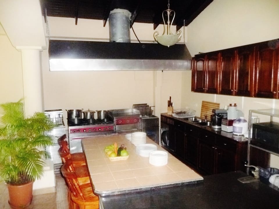 Large and well equipped kitchen