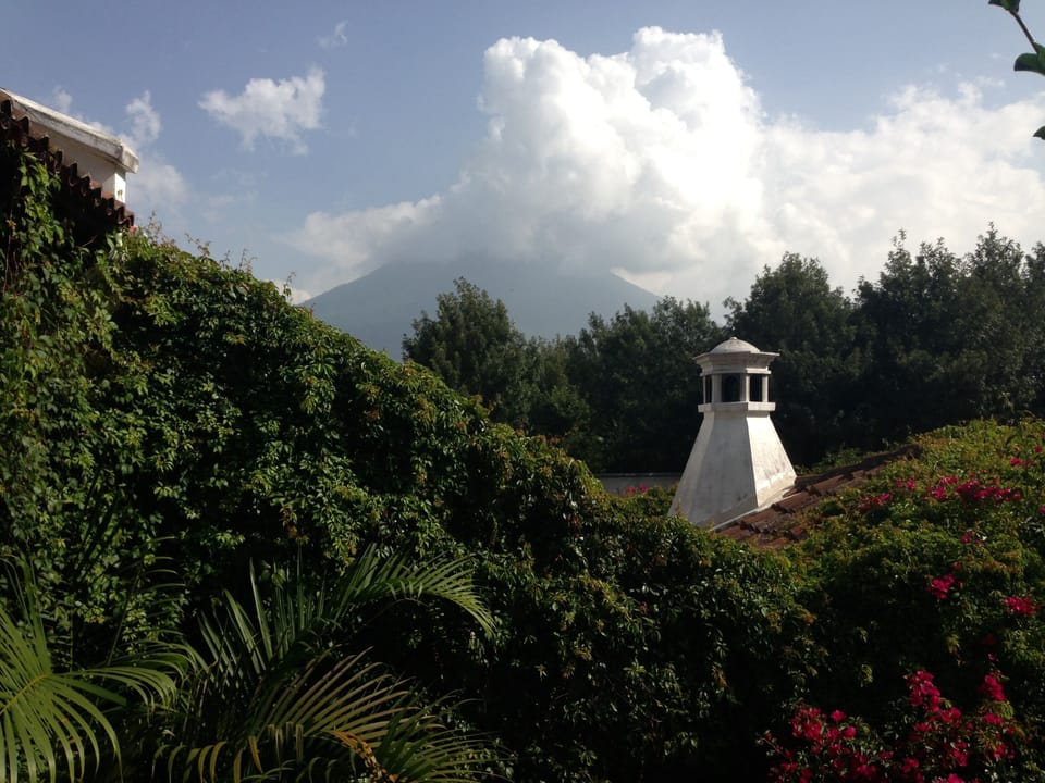 View from terrace