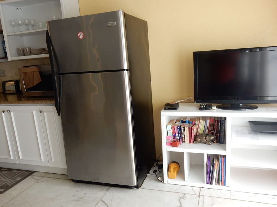 TV and Fridge