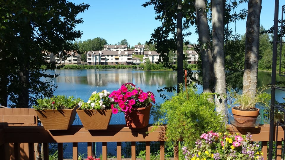 Deck view of the lake in summer