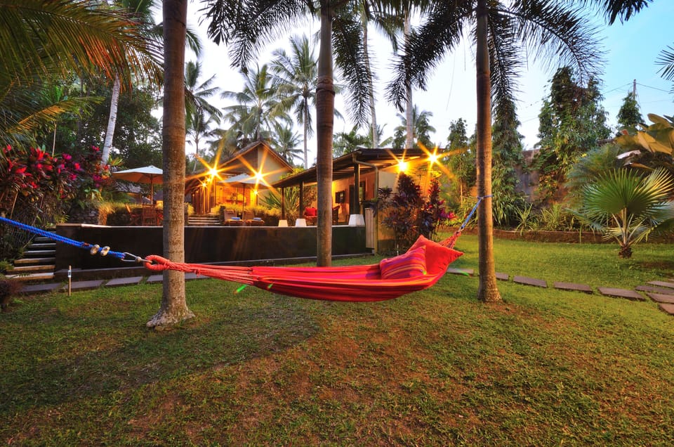 Relax in the hammock hung within a circle of towering palms