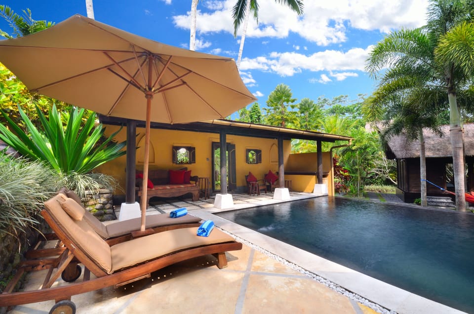 Jendela di Bali's beautiful wet-edge pool: Private & exclusively for your use