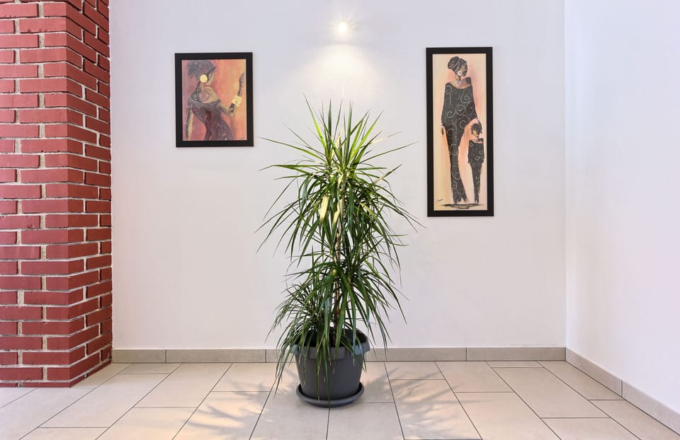 Kitchen and dining room