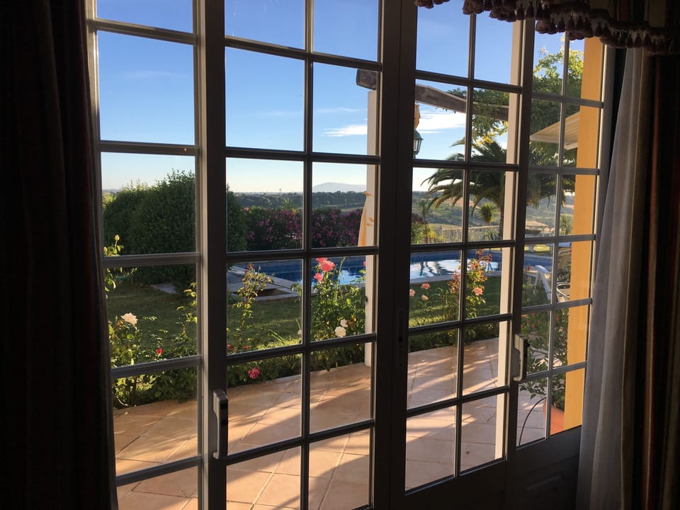 View from Living Room