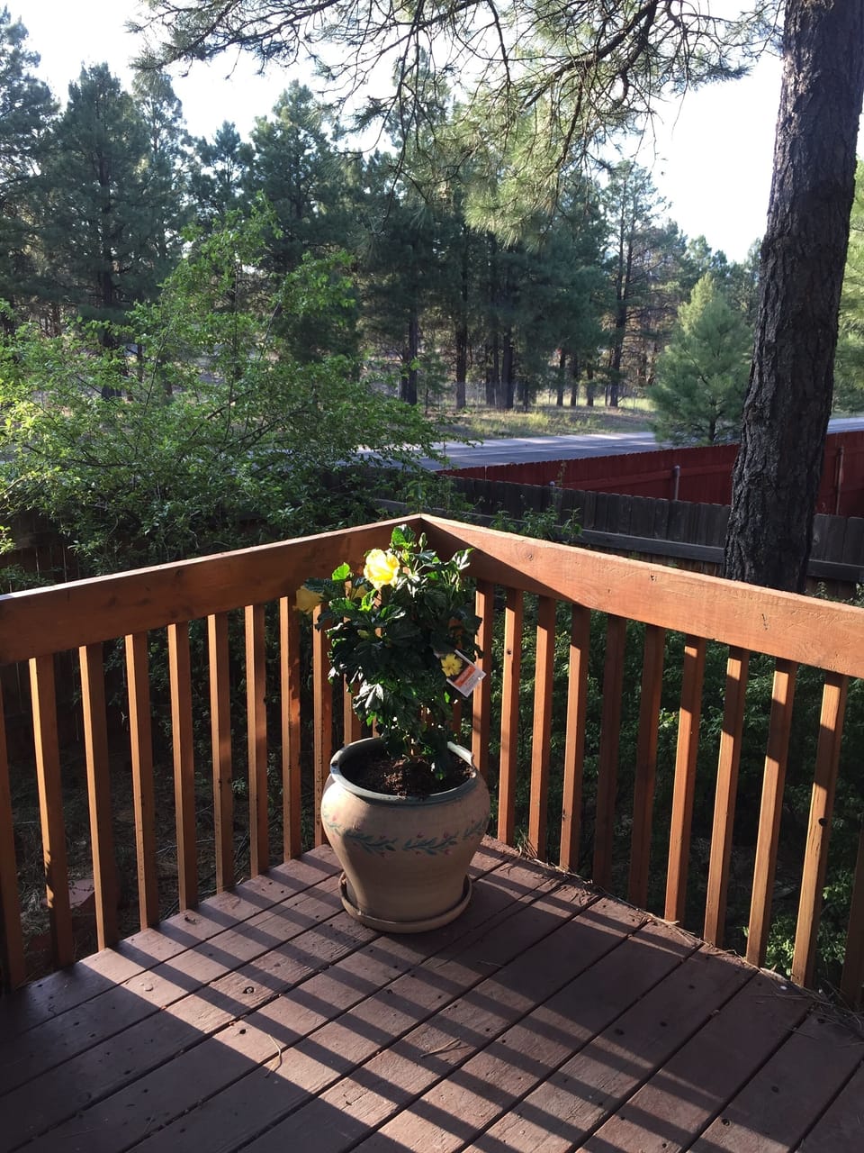 View from backyard deck.