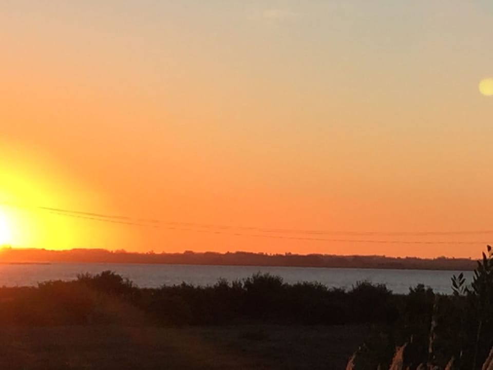 View from the house
