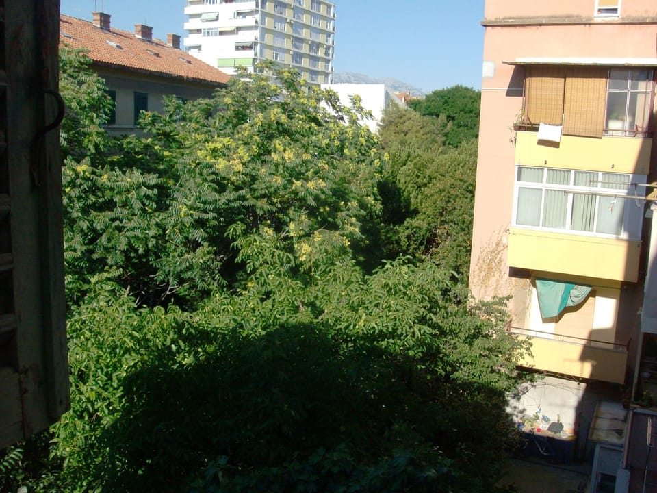view to the garden