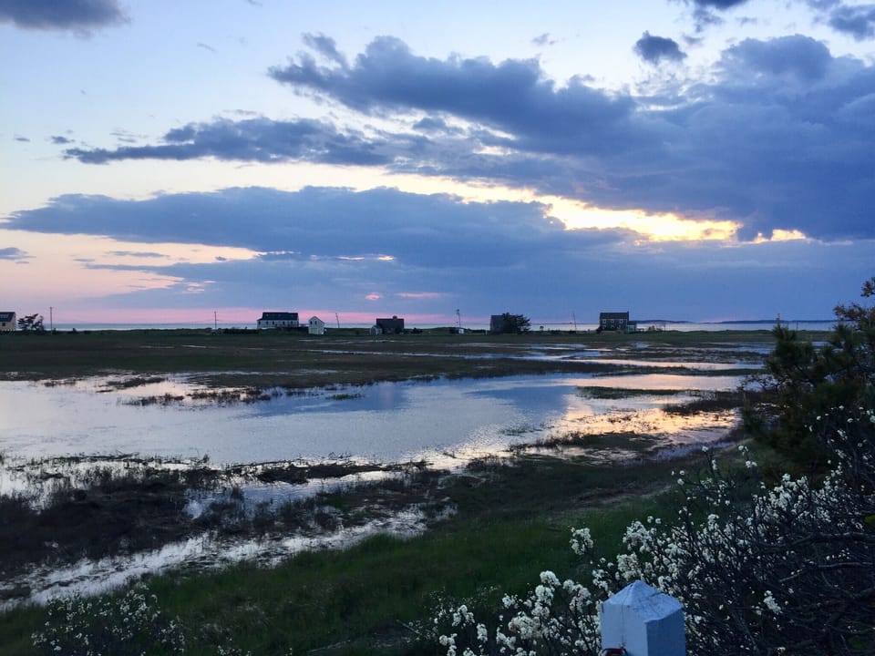 View from deck