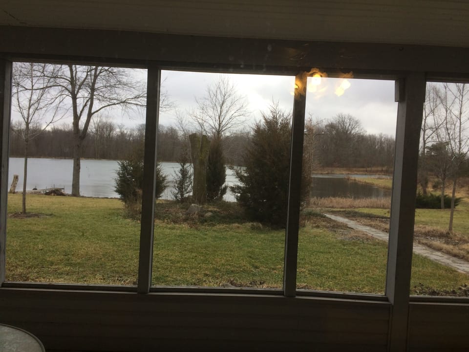 View out of the screened in guest porch.