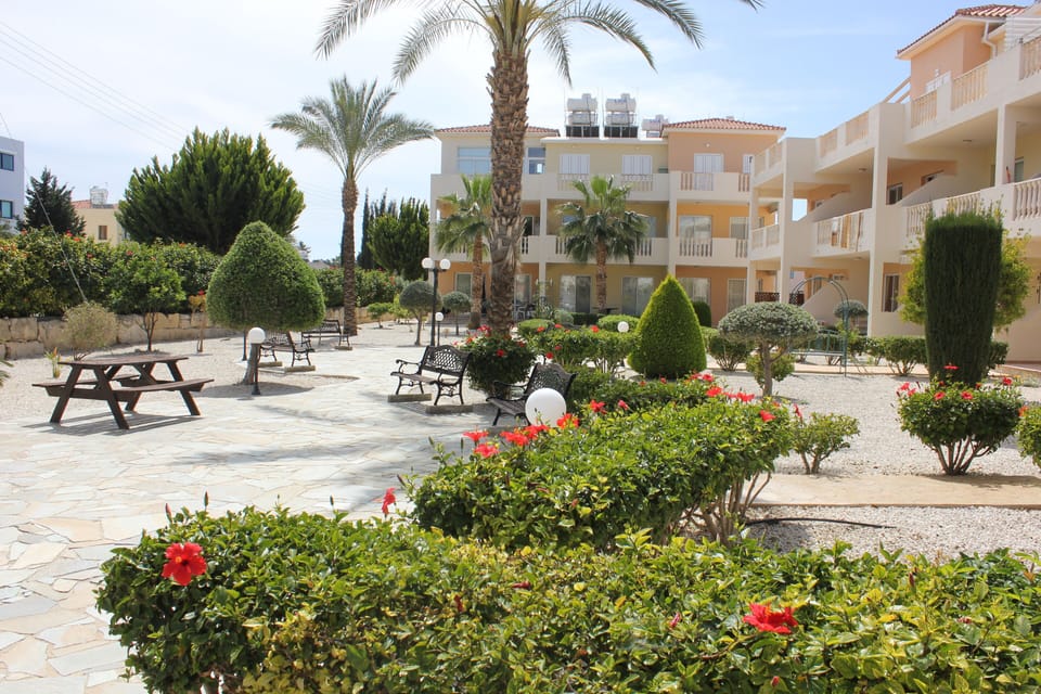 A view of the garden
