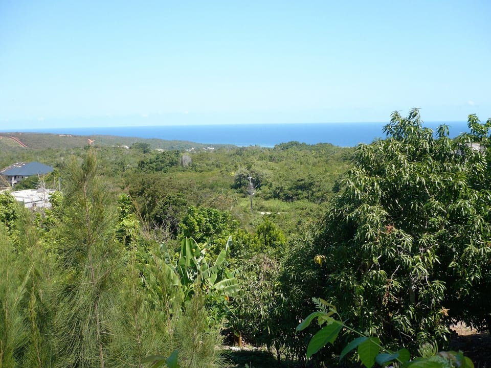 View from apartment