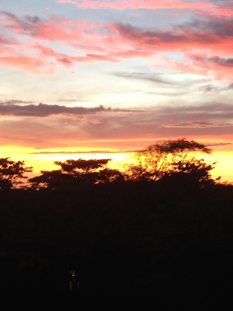 Amazing sunset balcony view.   
