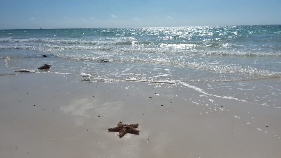 Taino Beach located 5 min. walk from Villa.
