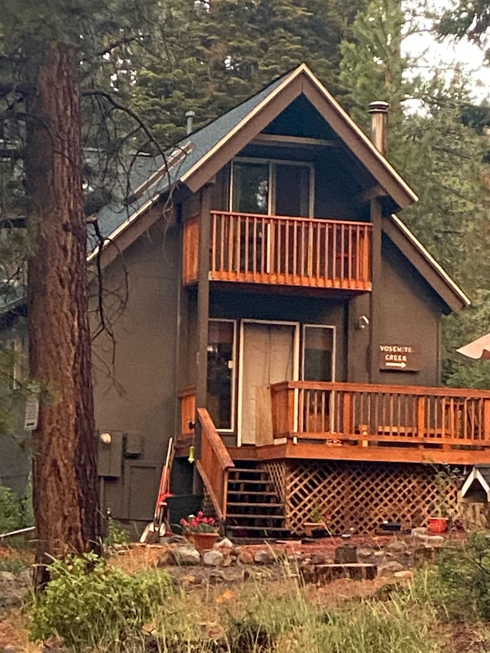 Black Bear Cabin