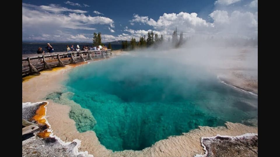 mammoth in Yellowstone