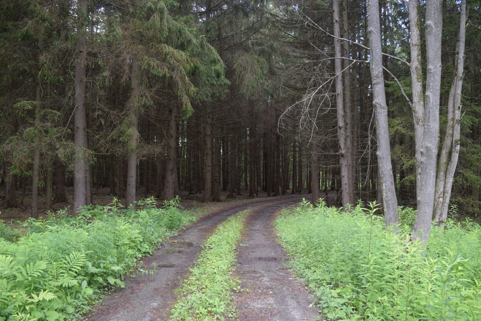 The driveway