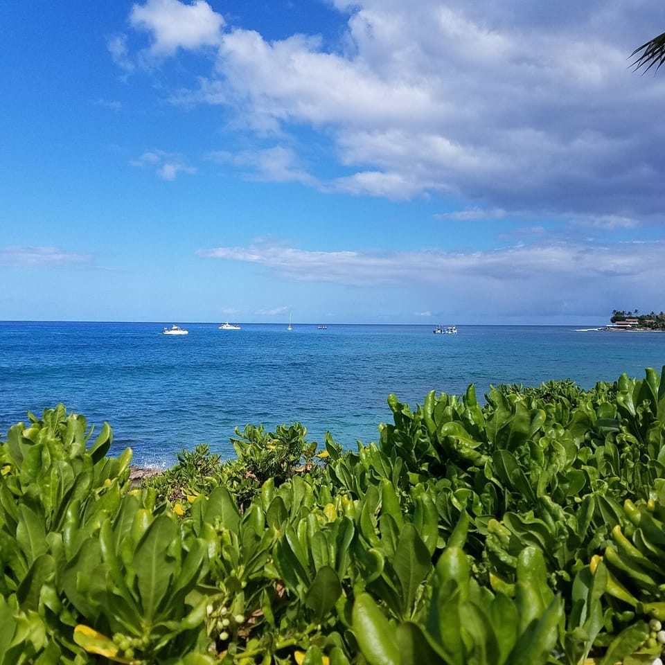 Resort snorkel boats bring their guests here. You get it for free!
