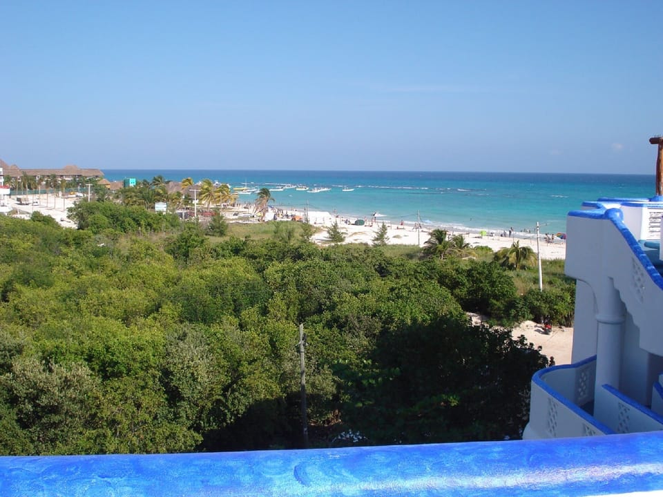 View From Our Rooftop ,One Flight of Stairs Above Your Condo