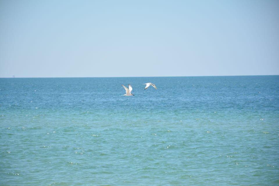Typical day on the beach...