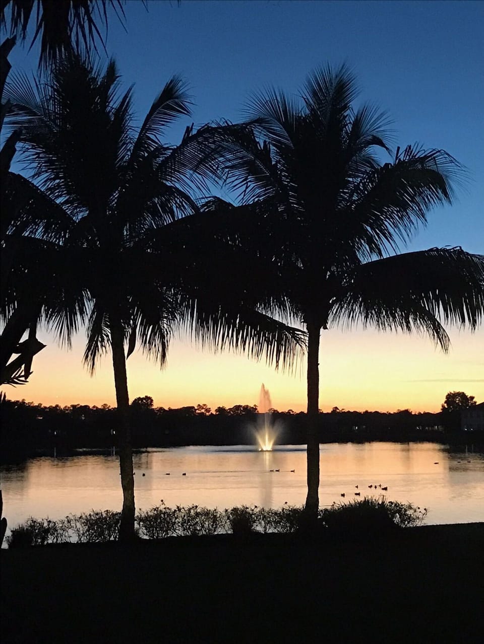 Outstanding nightly Sunsets.