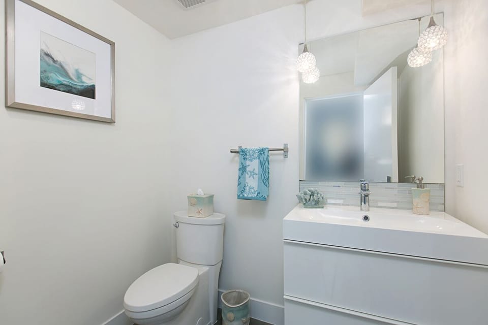 Downstairs powder bathroom