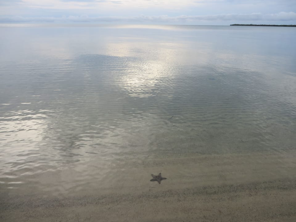 The Local Beach is Waiting for You