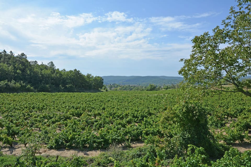 Surroundings [summer] (1-5 km)