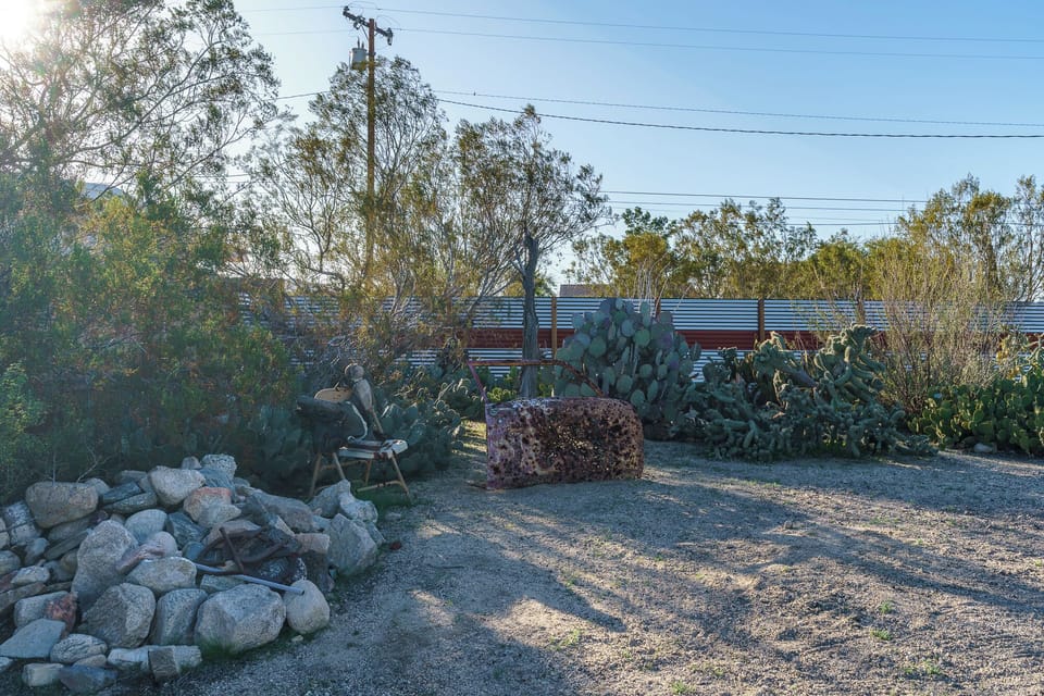 Desert yard with native plants and open space