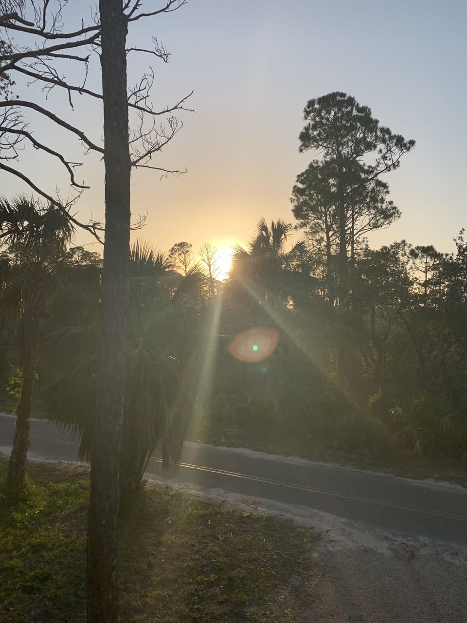 Sunrise from the front porch 