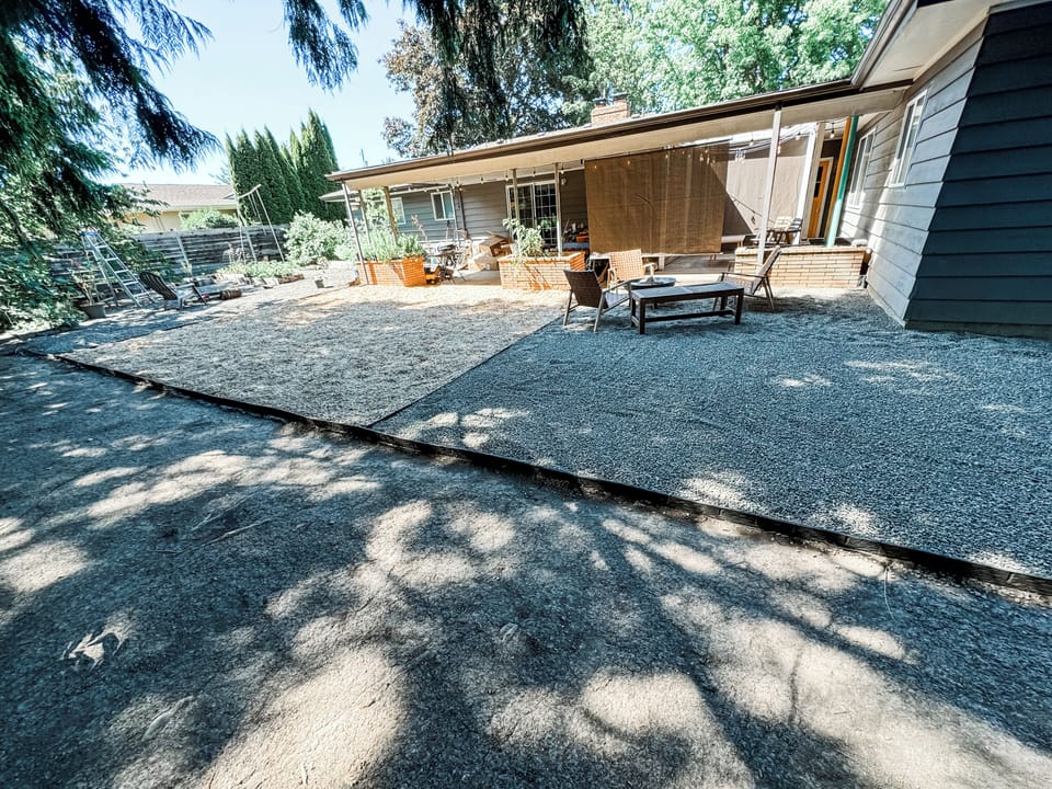 Our beautiful backyard from the perspective of our Redwood. :)