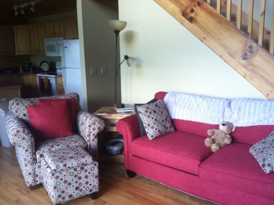 Newly Furnished Living Room