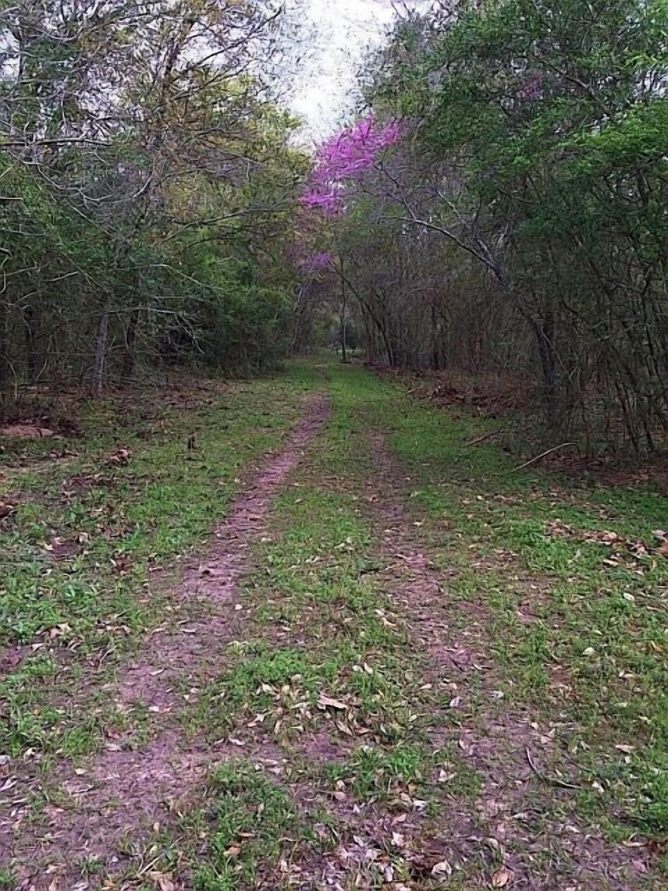 Let's explore the trails! (miles of them)