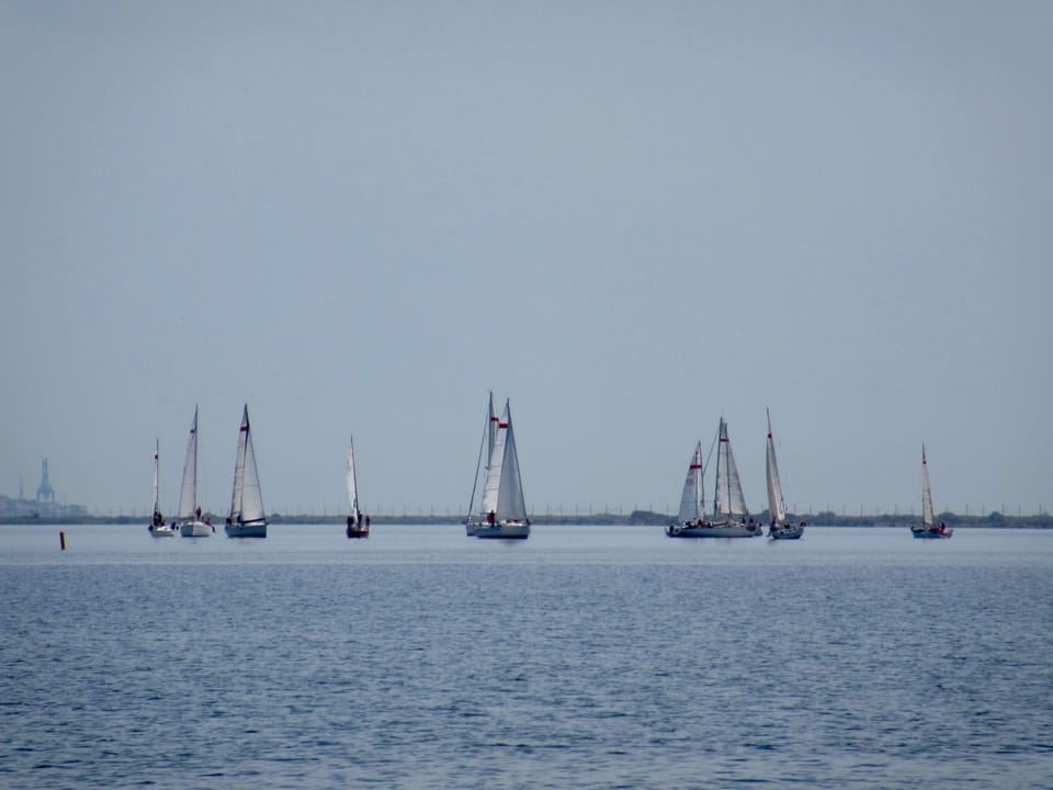 View from terrace 