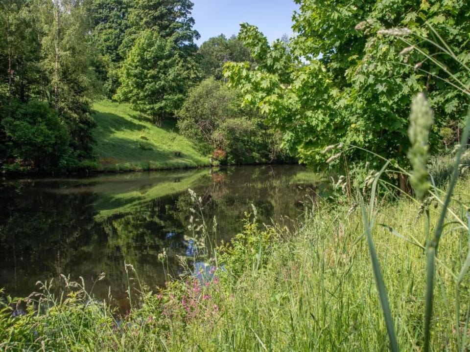 Surroundings [summer] (1-5 km)