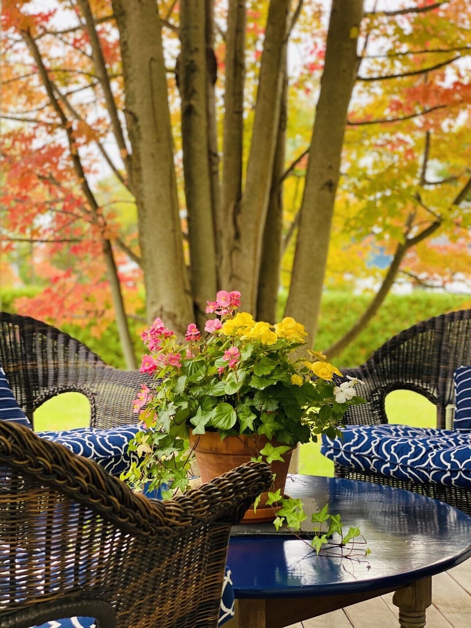 Autumn Splendor