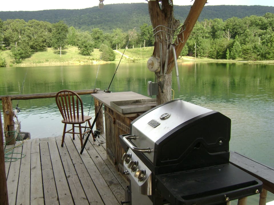 FISH FROM THE DOCK, clean  and throw on the grill.