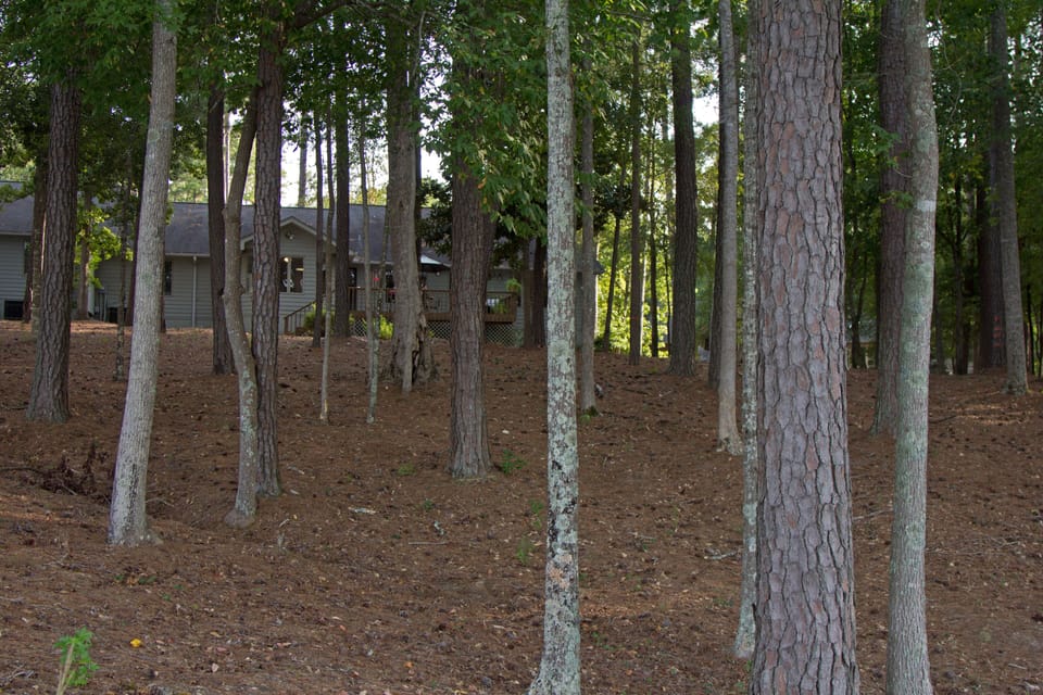 View of Townhouse from Lakefront
