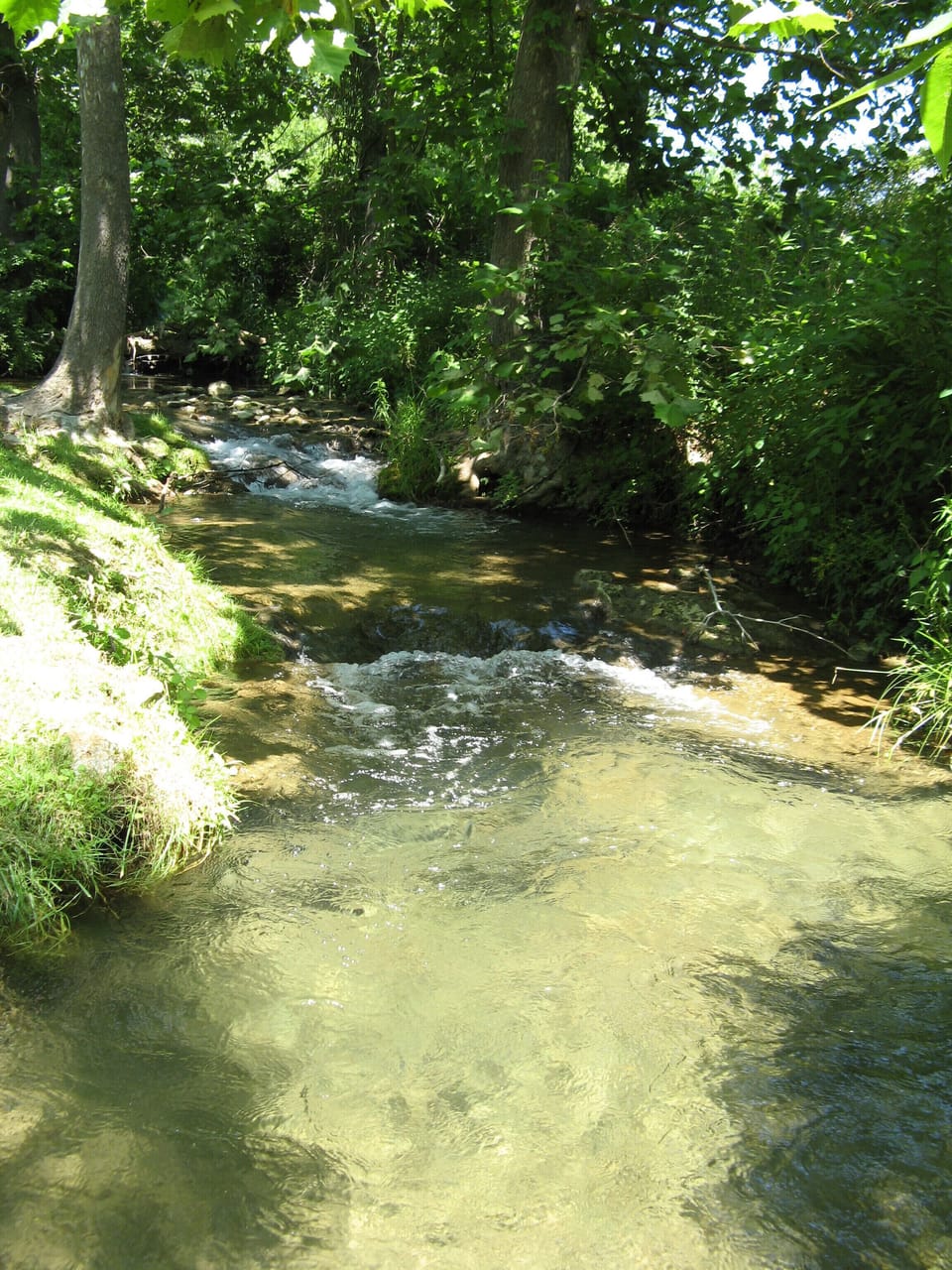 Personal Warm Springs Stream dipping pool!  Depending on weather. 