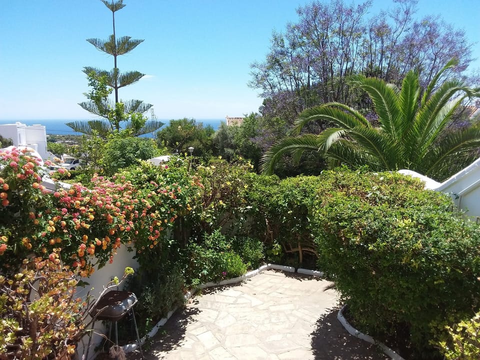 Private patio garden