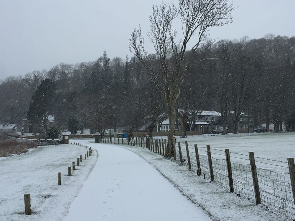 Winter in Ardrhu. Driveway into Ardrhu.