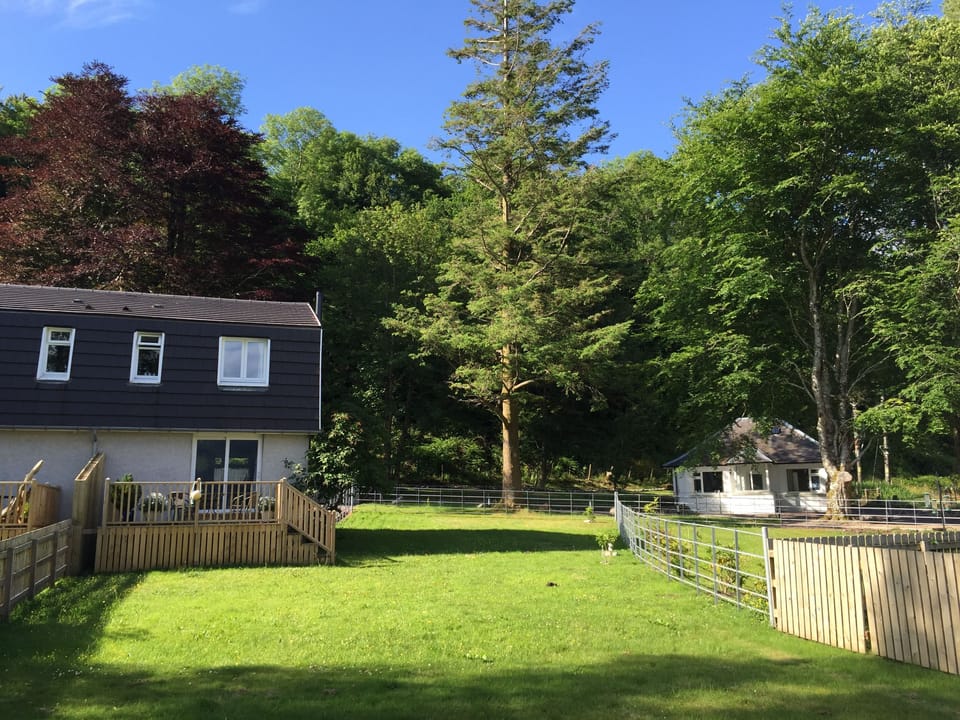 View from back garden towards house.