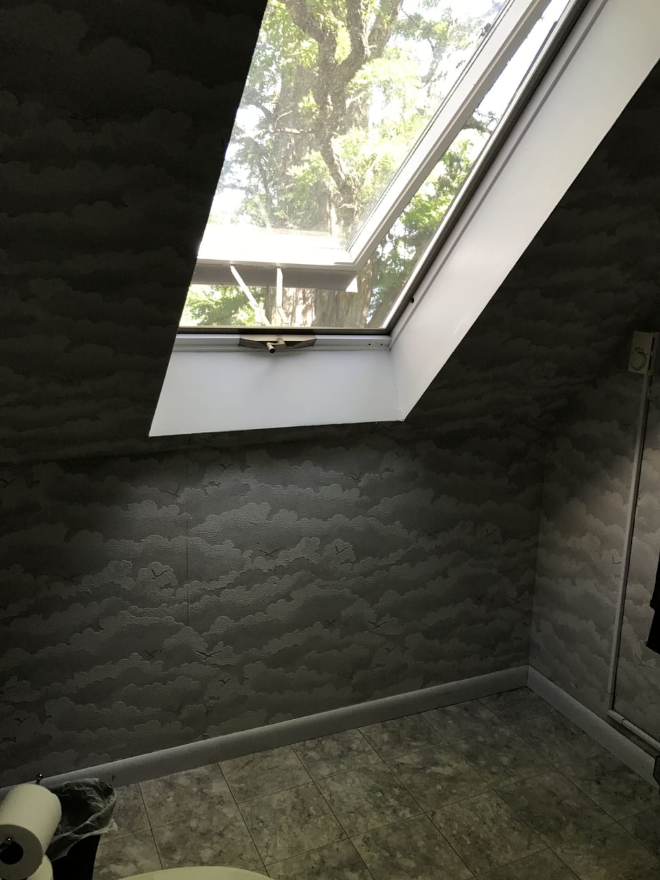 Master bath skylight with view of lake.