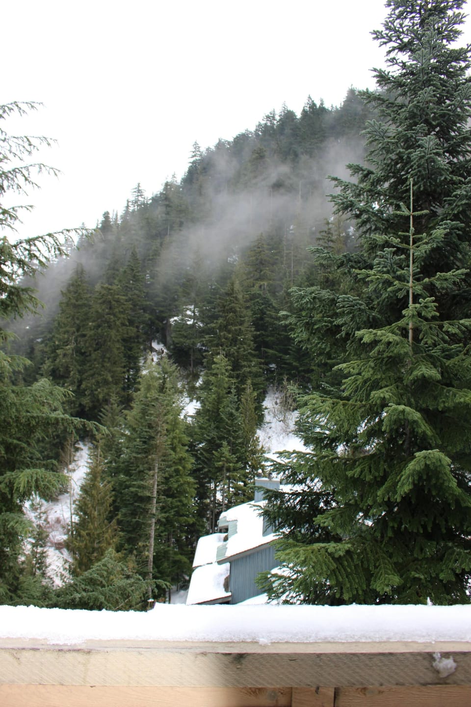Mountain from back deck