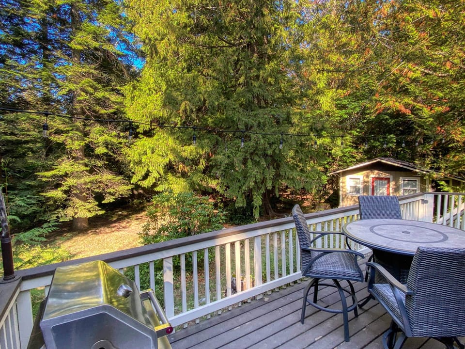 Views from the rear deck
