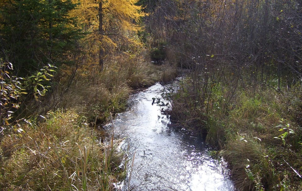 marsh creek runs through property. 