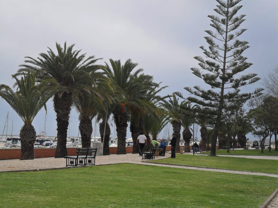 On the Waterfront