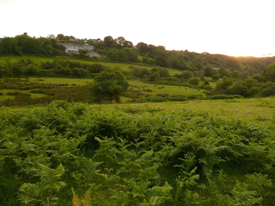 View across fields from rear drive/patio area