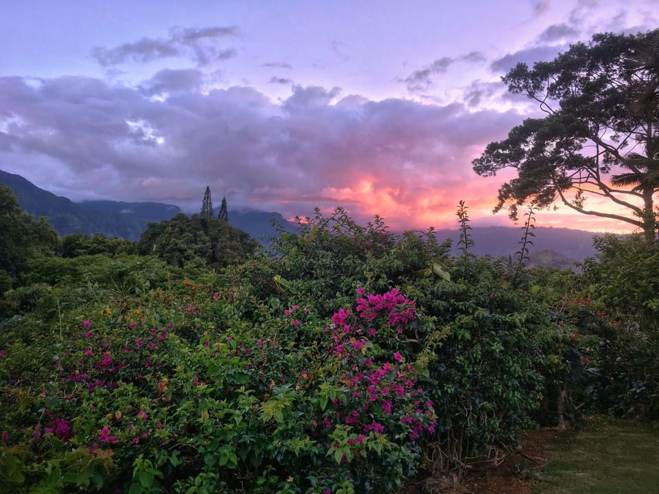 Amazing Sunrises
