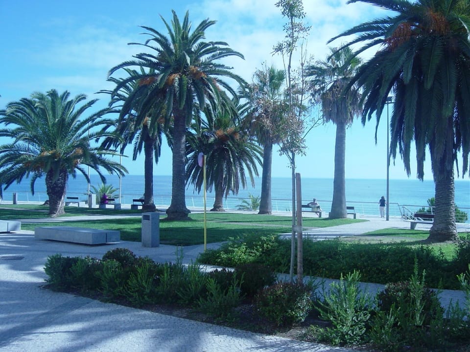 Pedestrian green area requalified next to the apartment.