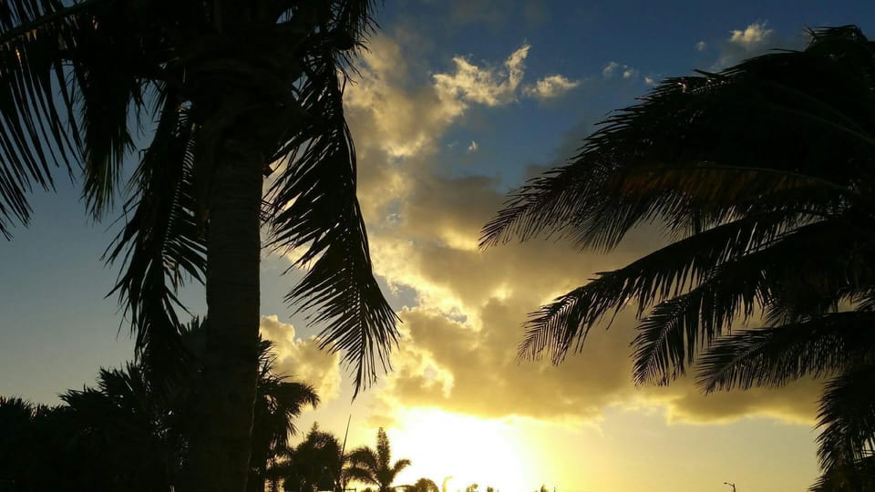 Vero - Palm Sky